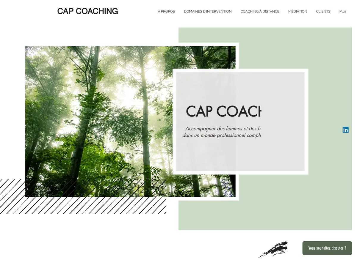 Aperçu du site de CAP Coaching